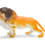 Caring for Your Taxidermy Lion Display Essential Tips